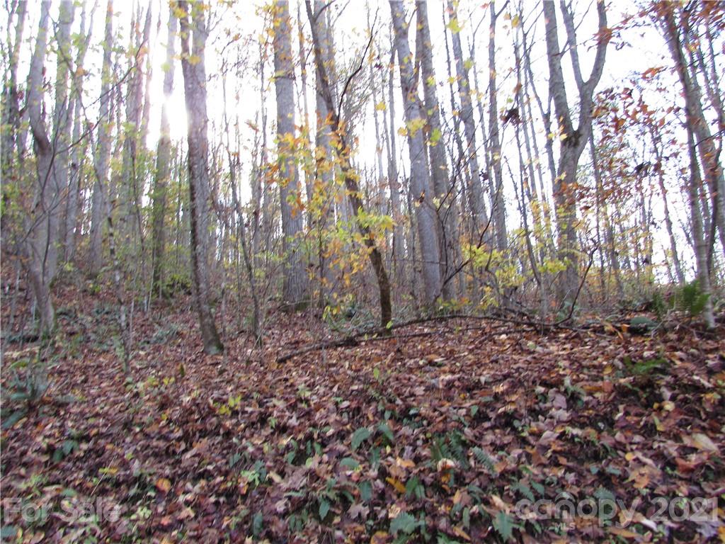 E- 3 Red Wolf Run Mars Hill NC 28754