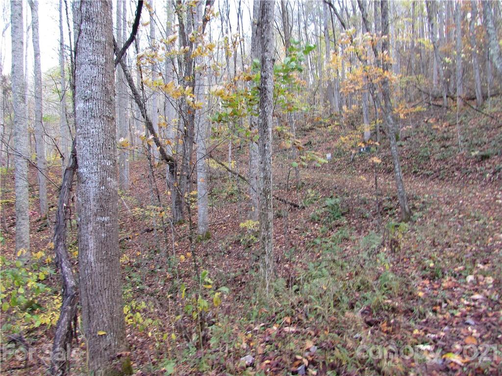 E- 3 Red Wolf Run Mars Hill NC 28754