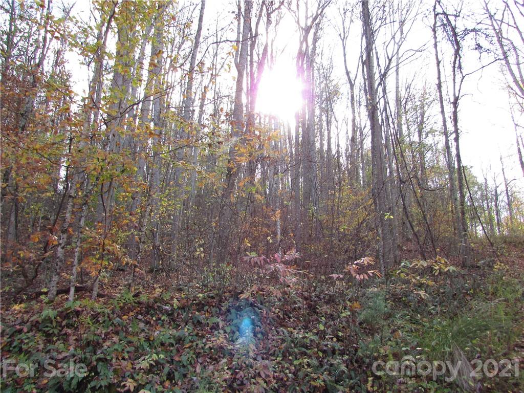 E- 3 Red Wolf Run Mars Hill NC 28754