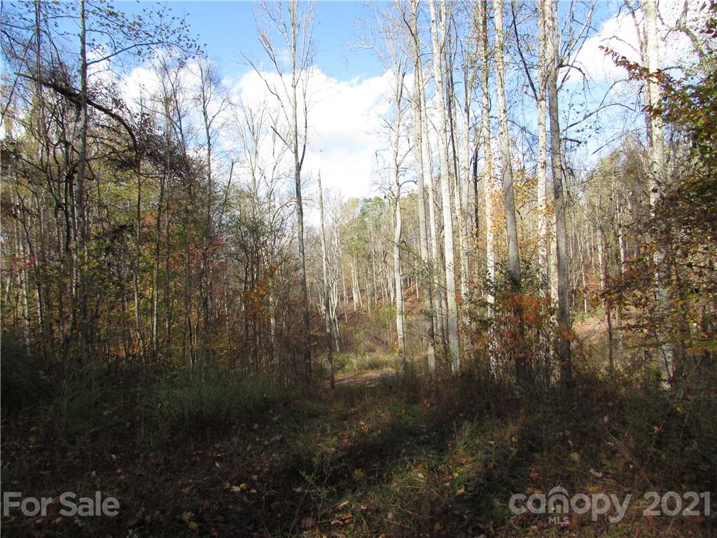 E- 3 Red Wolf Run Mars Hill NC 28754