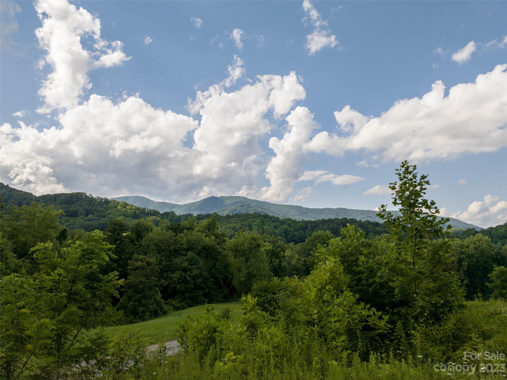 00 Skyland Drive Waynesville NC 28786