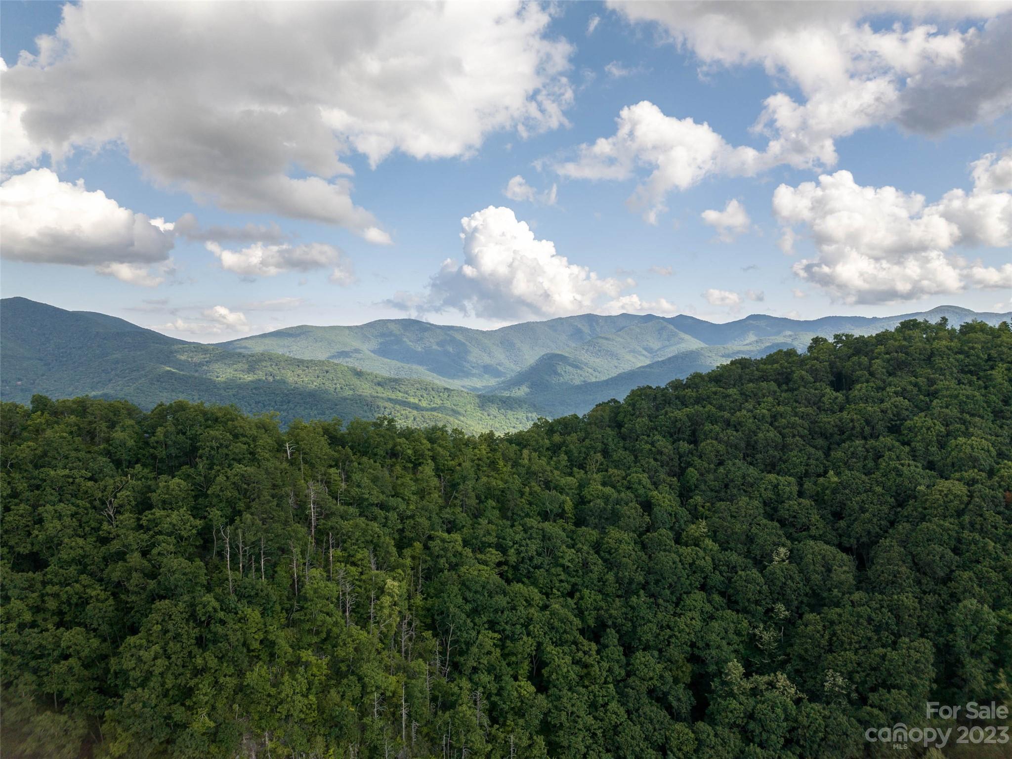 00 Skyland Drive Waynesville NC 28786