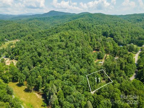 11 Roy Lane Black Mountain NC 28711