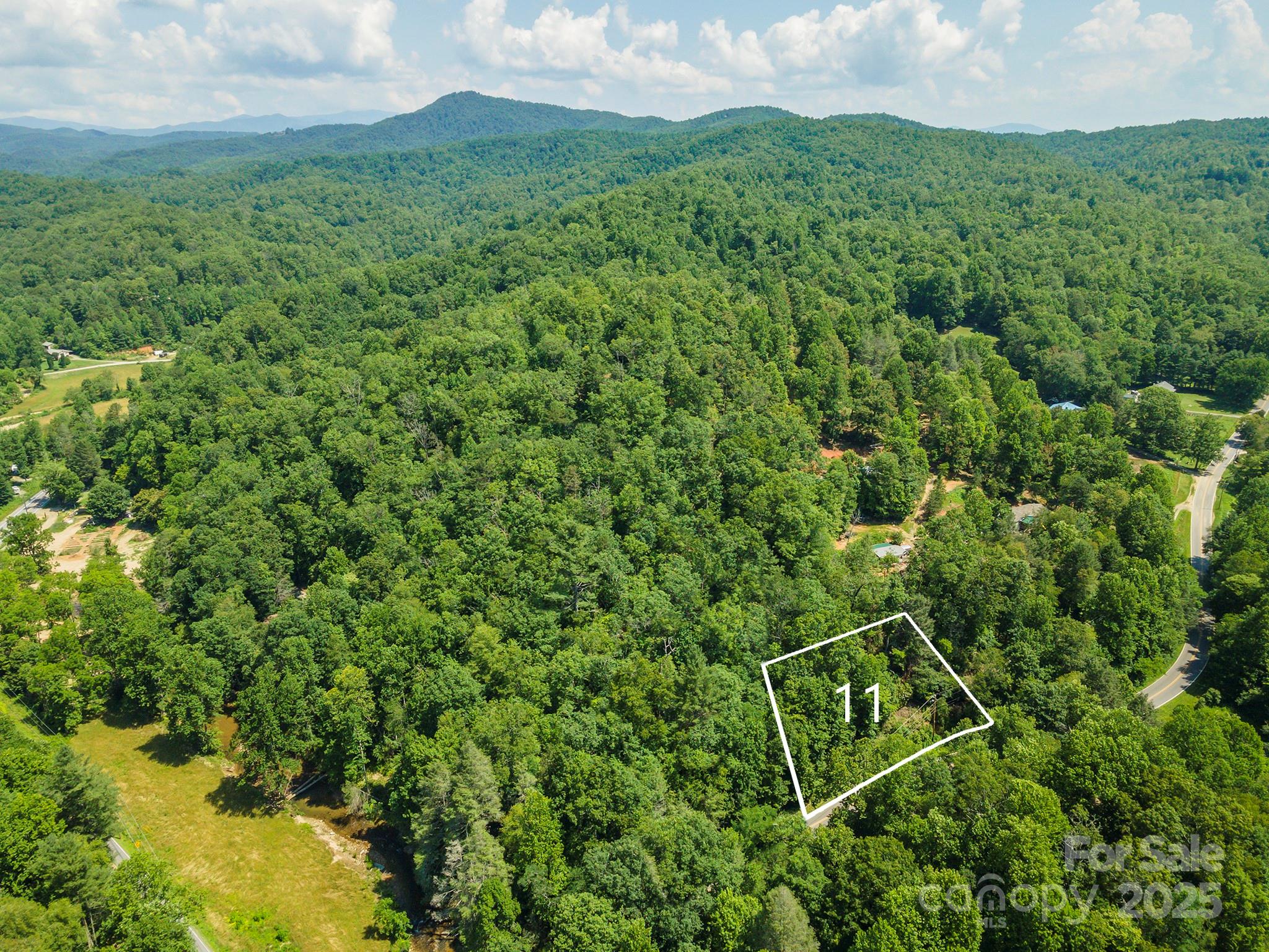 11 Roy Lane Black Mountain NC 28711