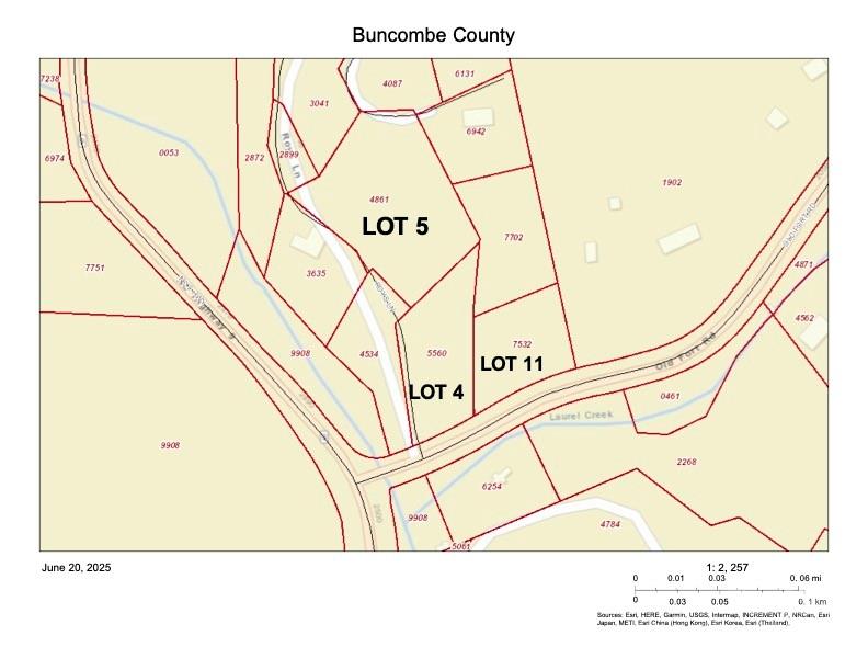 11 Roy Lane Black Mountain NC 28711