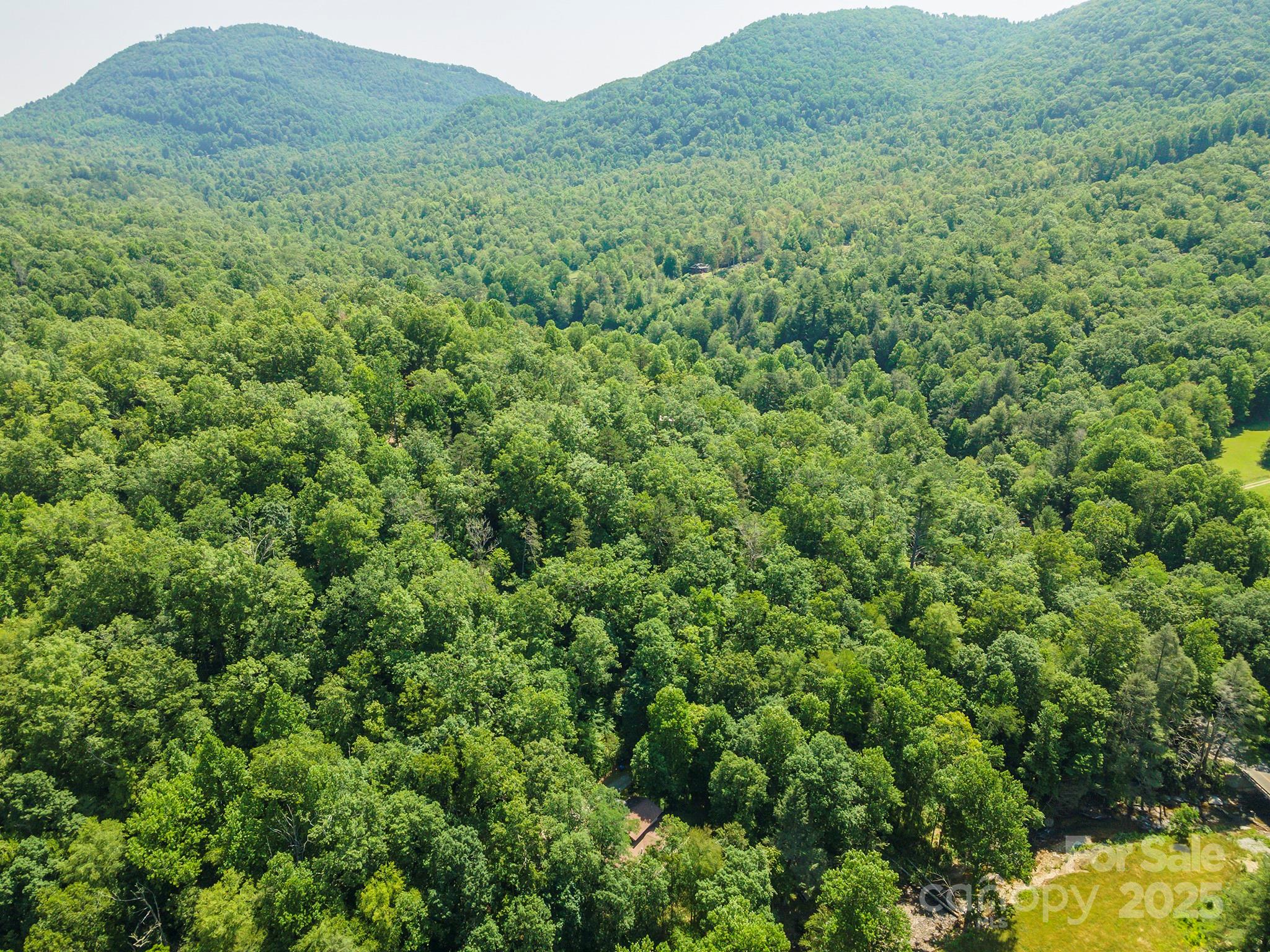 11 Roy Lane Black Mountain NC 28711