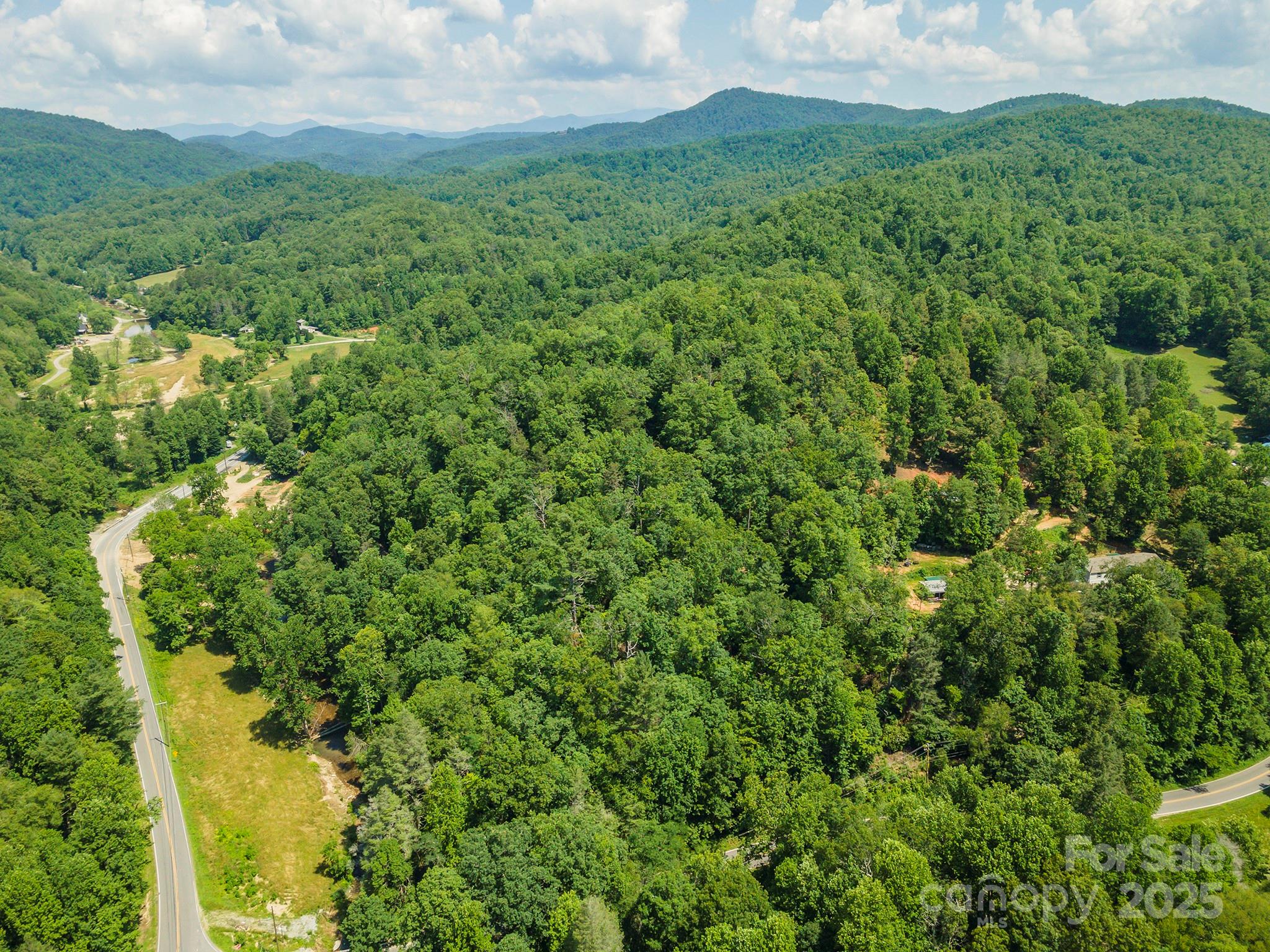 11 Roy Lane Black Mountain NC 28711