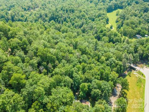 11 Roy Lane Black Mountain NC 28711