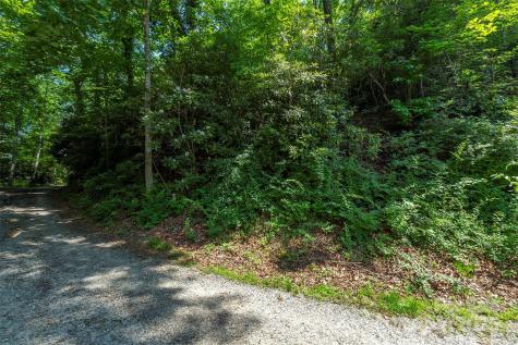 11 Roy Lane Black Mountain NC 28711
