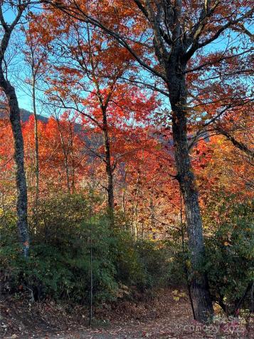 69 & 81 Winter Moon Ridge Sylva NC 28779