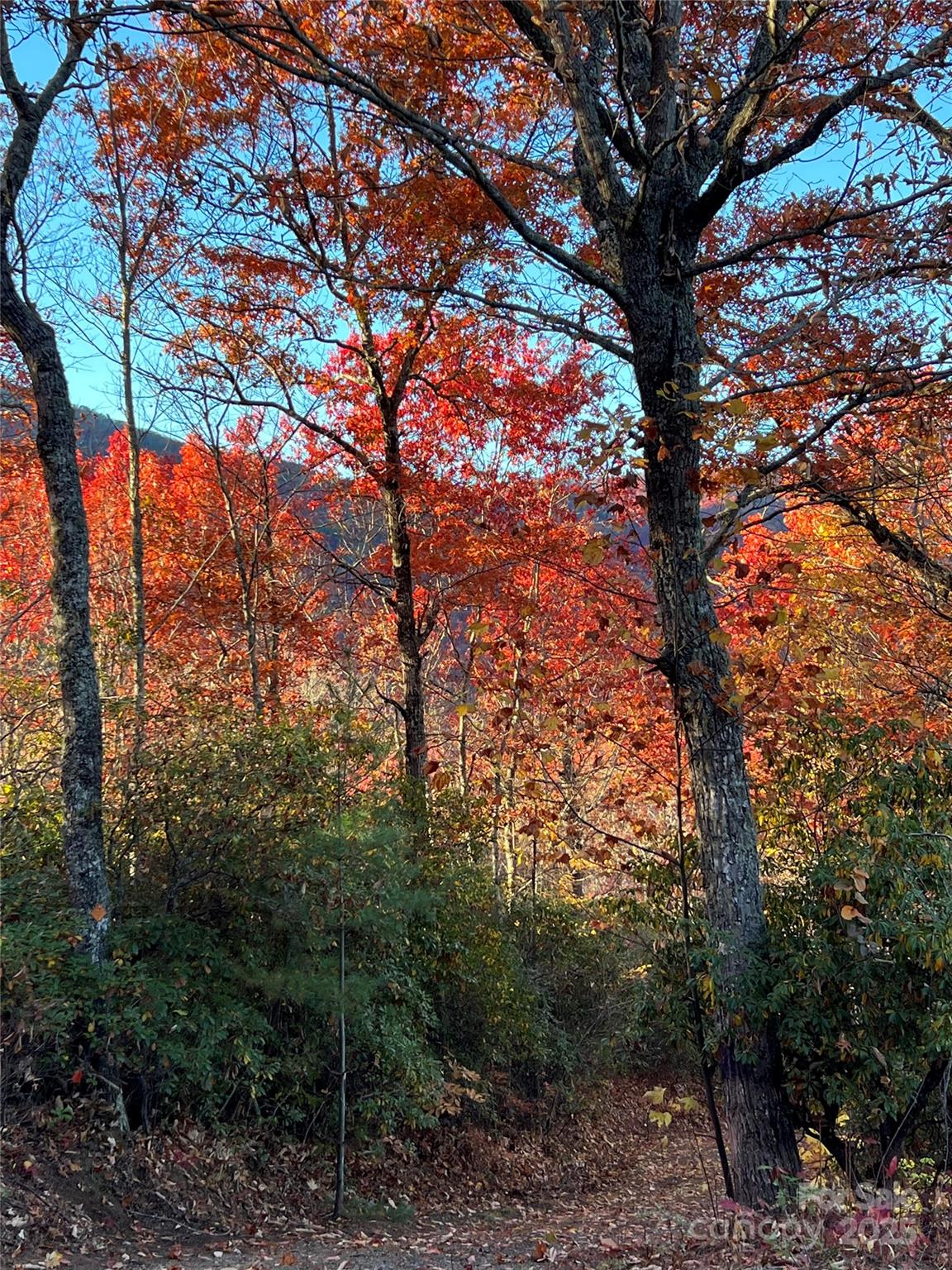 69 & 81 Winter Moon Ridge Sylva NC 28779