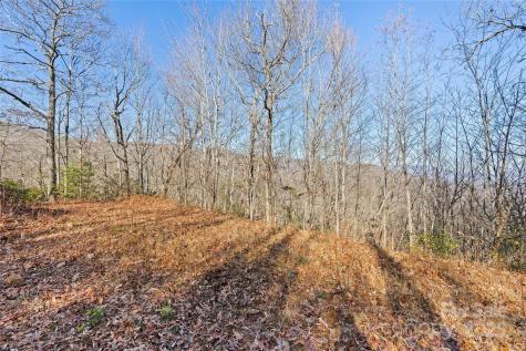 69 & 81 Winter Moon Ridge Sylva NC 28779