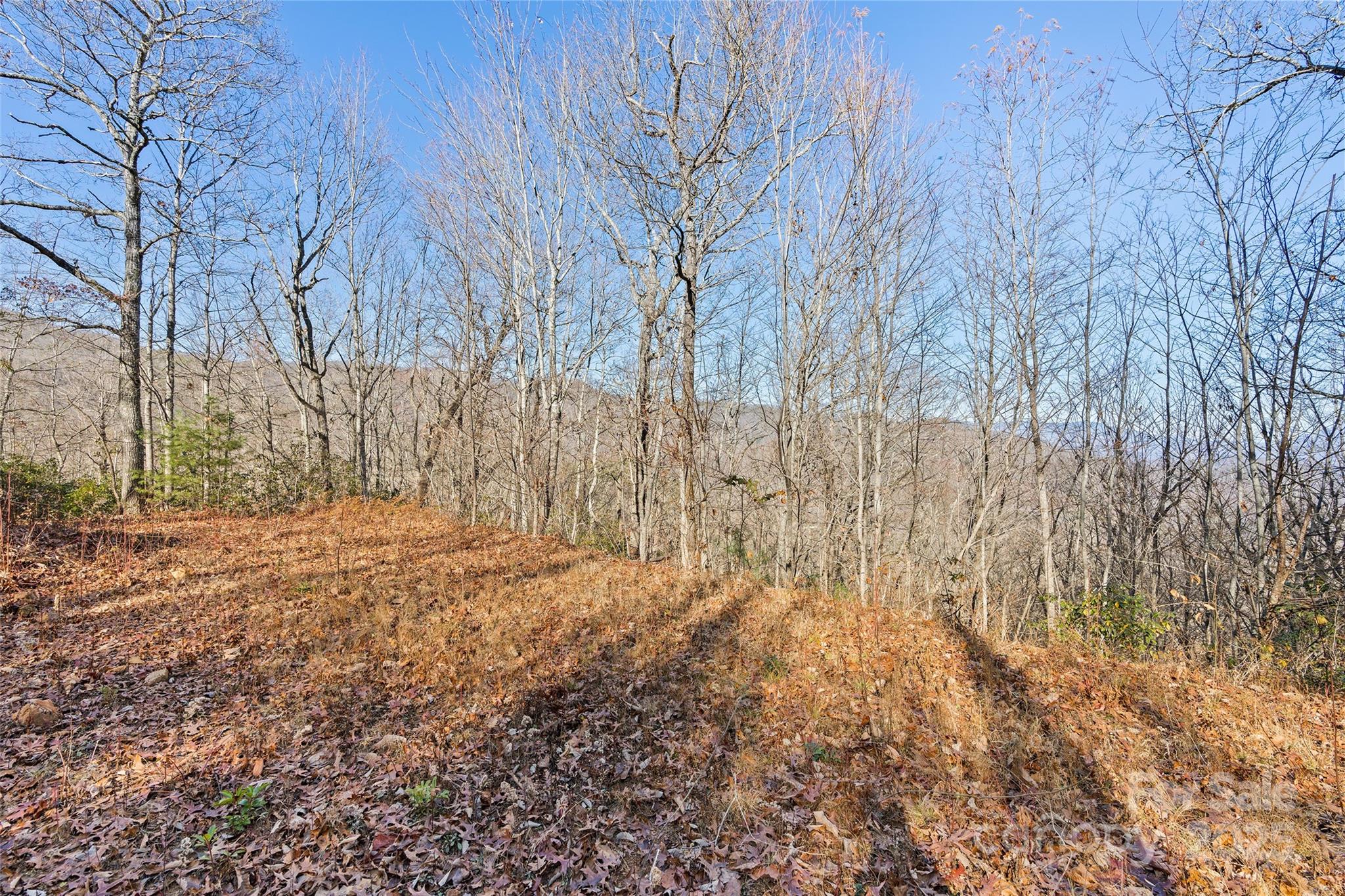 69 & 81 Winter Moon Ridge Sylva NC 28779