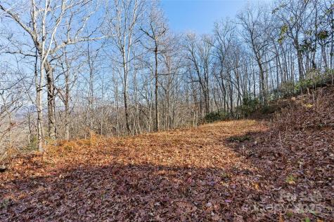 69 & 81 Winter Moon Ridge Sylva NC 28779