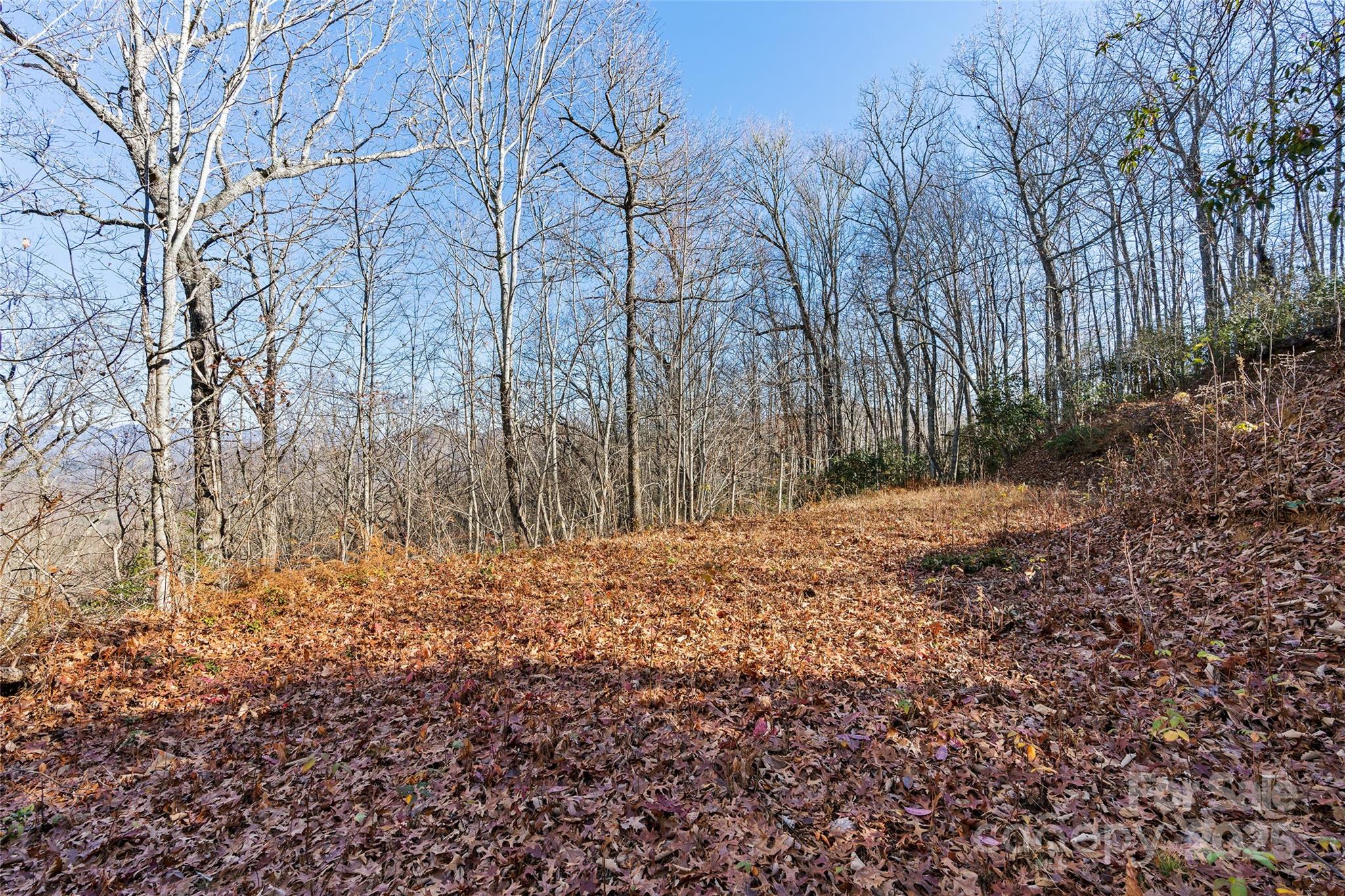 69 & 81 Winter Moon Ridge Sylva NC 28779
