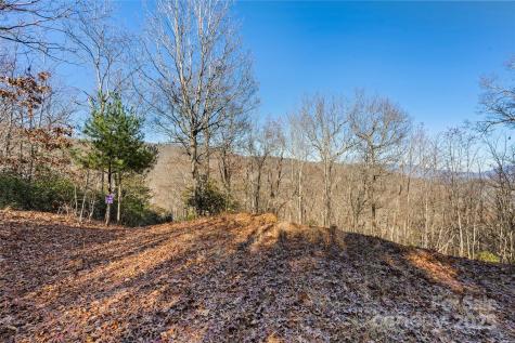 69 & 81 Winter Moon Ridge Sylva NC 28779