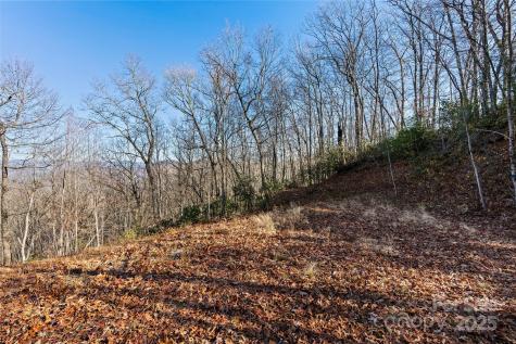 69 & 81 Winter Moon Ridge Sylva NC 28779