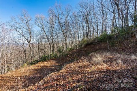 69 & 81 Winter Moon Ridge Sylva NC 28779