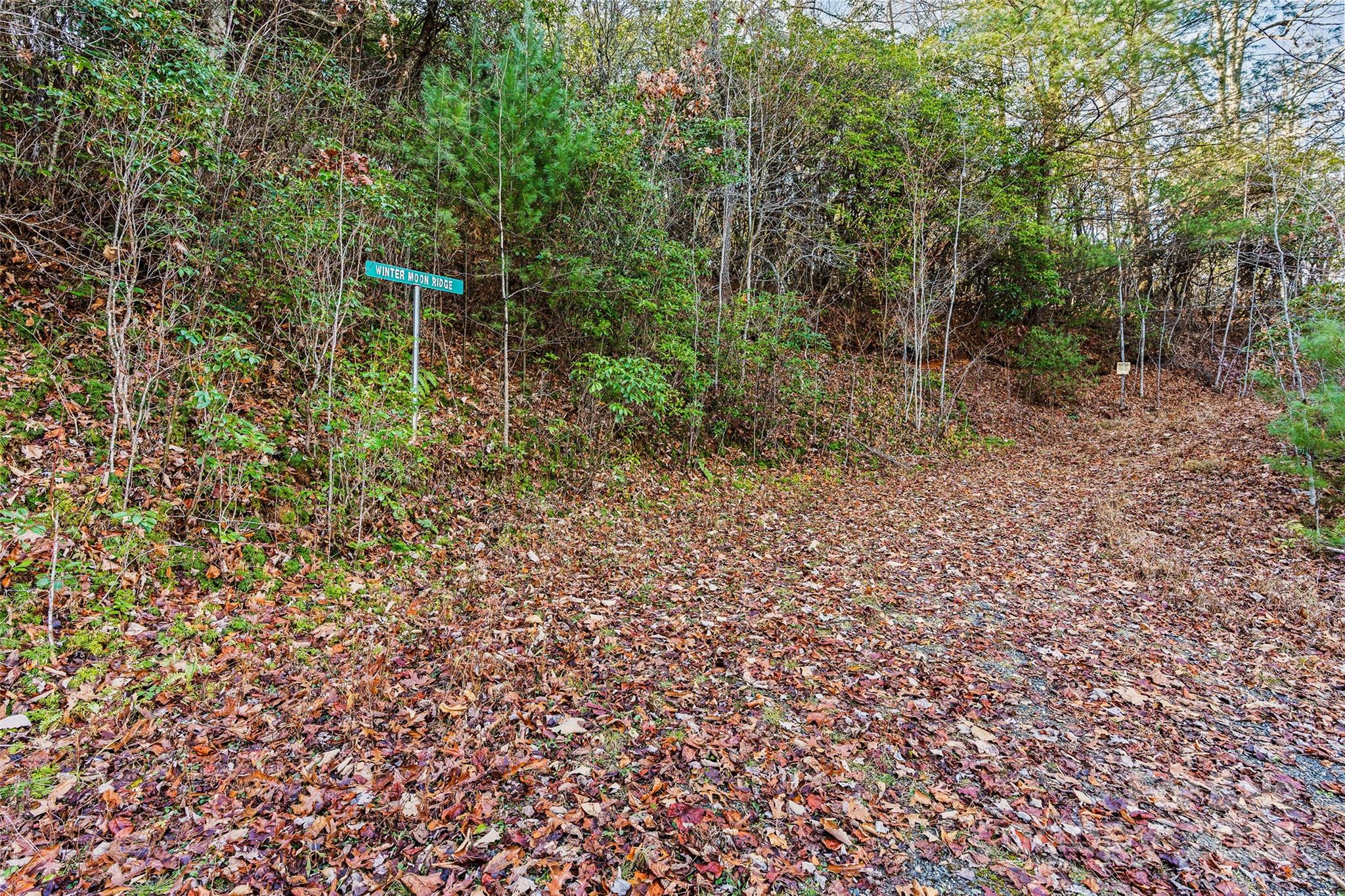 69 & 81 Winter Moon Ridge Sylva NC 28779