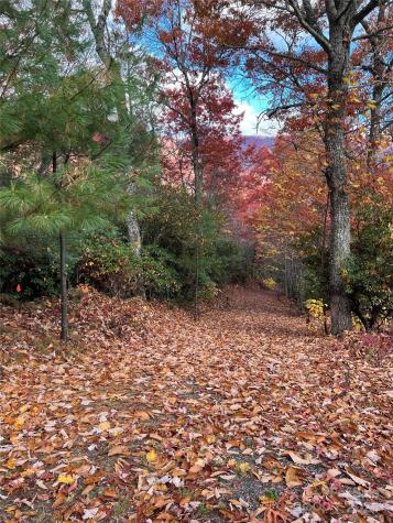 69 & 81 Winter Moon Ridge Sylva NC 28779