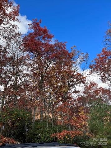 69 & 81 Winter Moon Ridge Sylva NC 28779