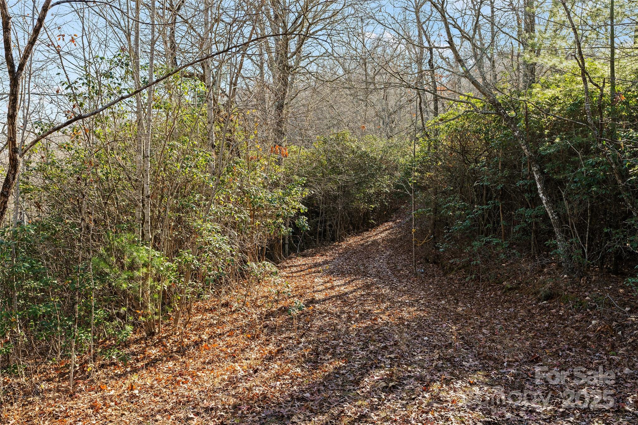 69 & 81 Winter Moon Ridge Sylva NC 28779