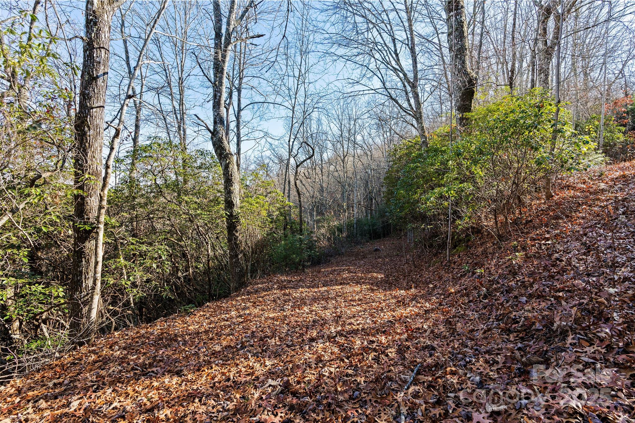 69 & 81 Winter Moon Ridge Sylva NC 28779