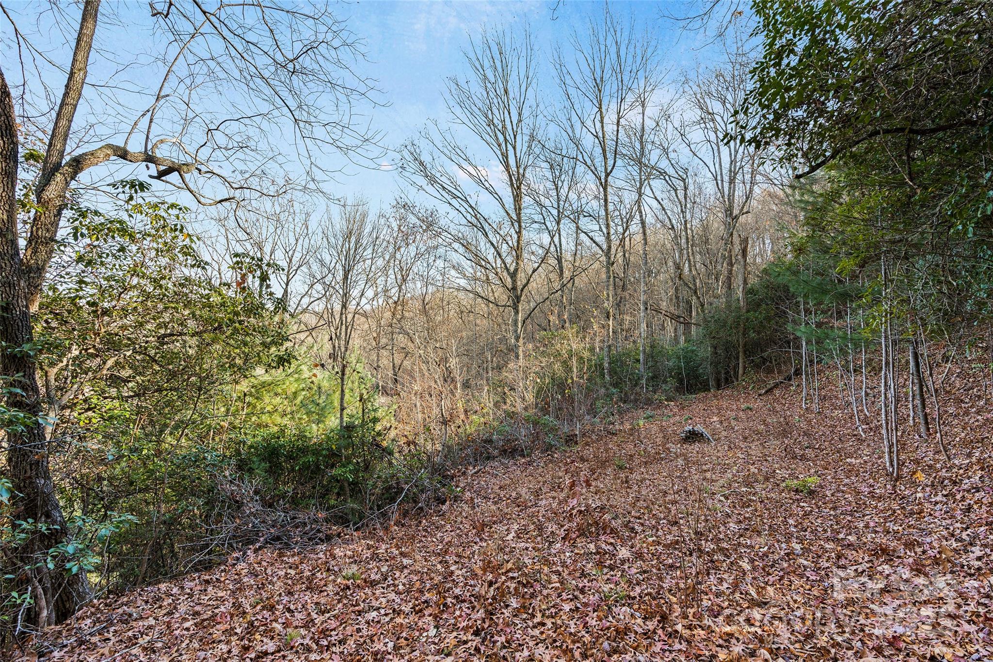 69 & 81 Winter Moon Ridge Sylva NC 28779