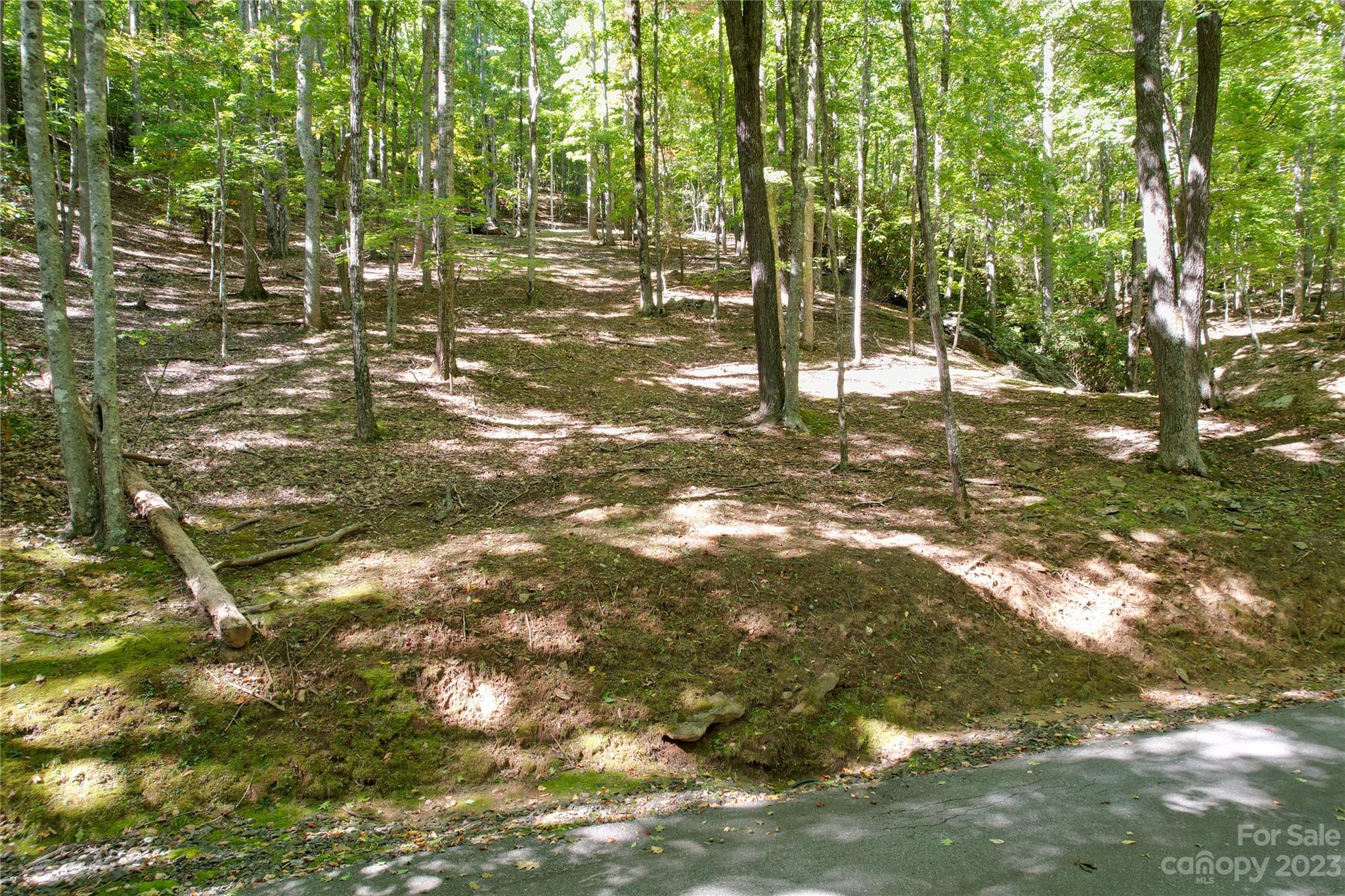 9999 Celo Heights Way Burnsville NC 28714