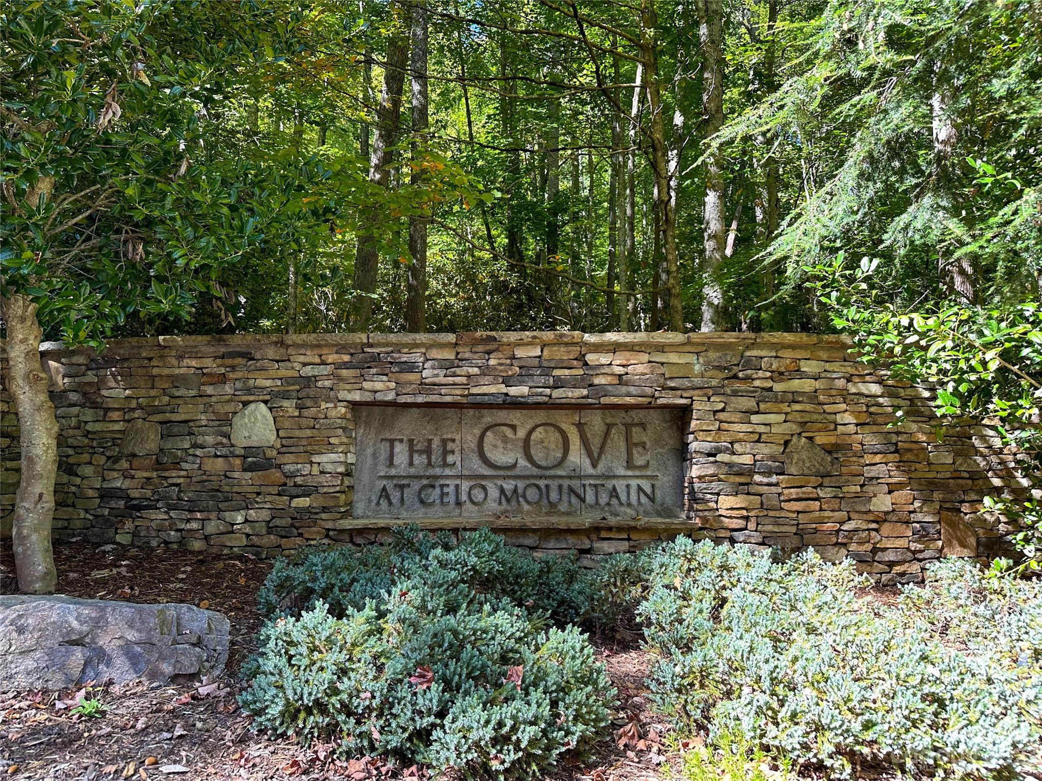 9999 Celo Heights Way Burnsville NC 28714