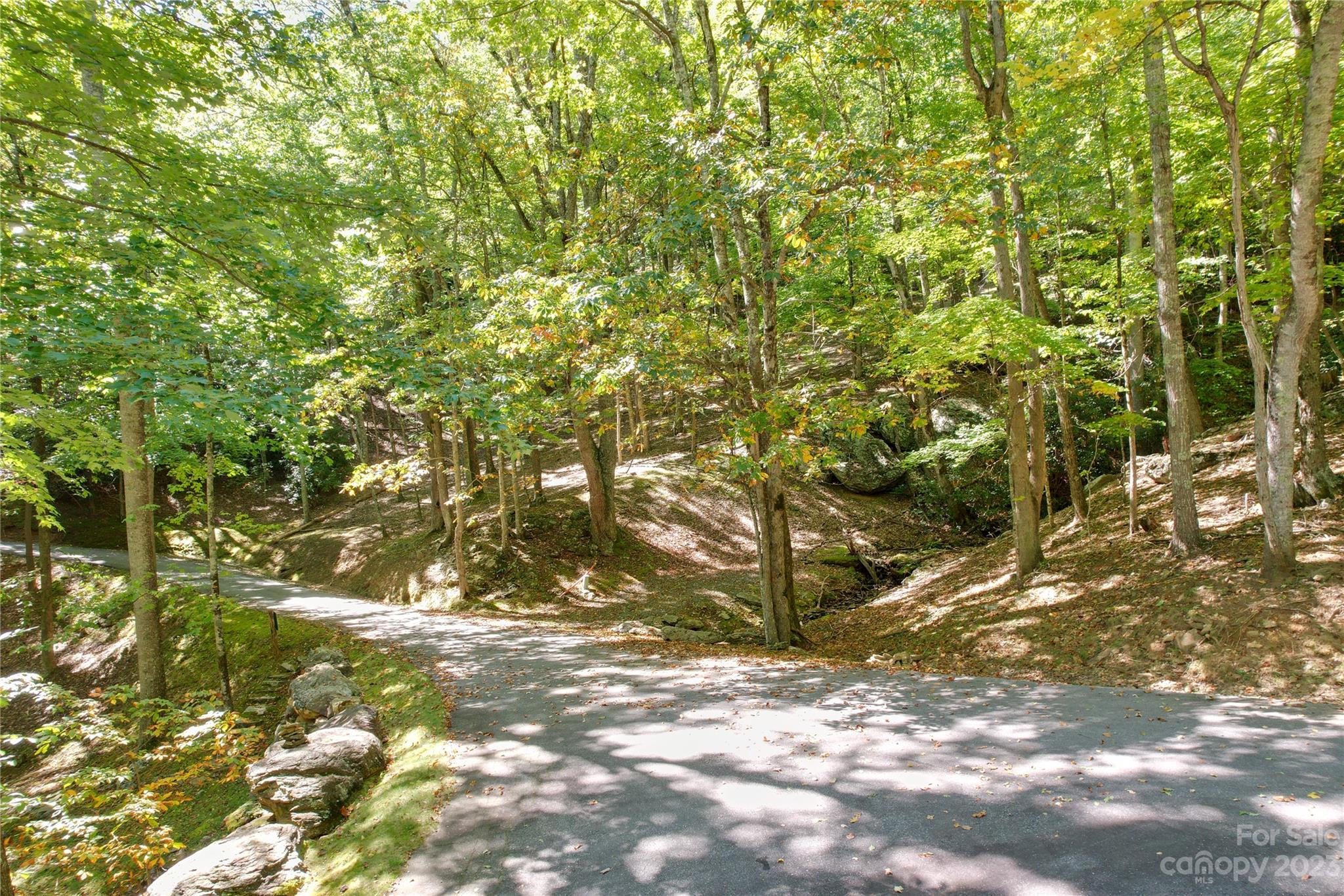 9999 Celo Heights Way Burnsville NC 28714