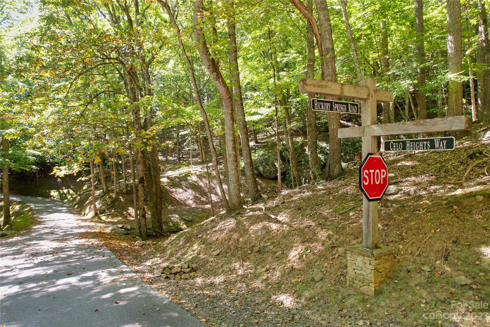 9999 Celo Heights Way Burnsville NC 28714