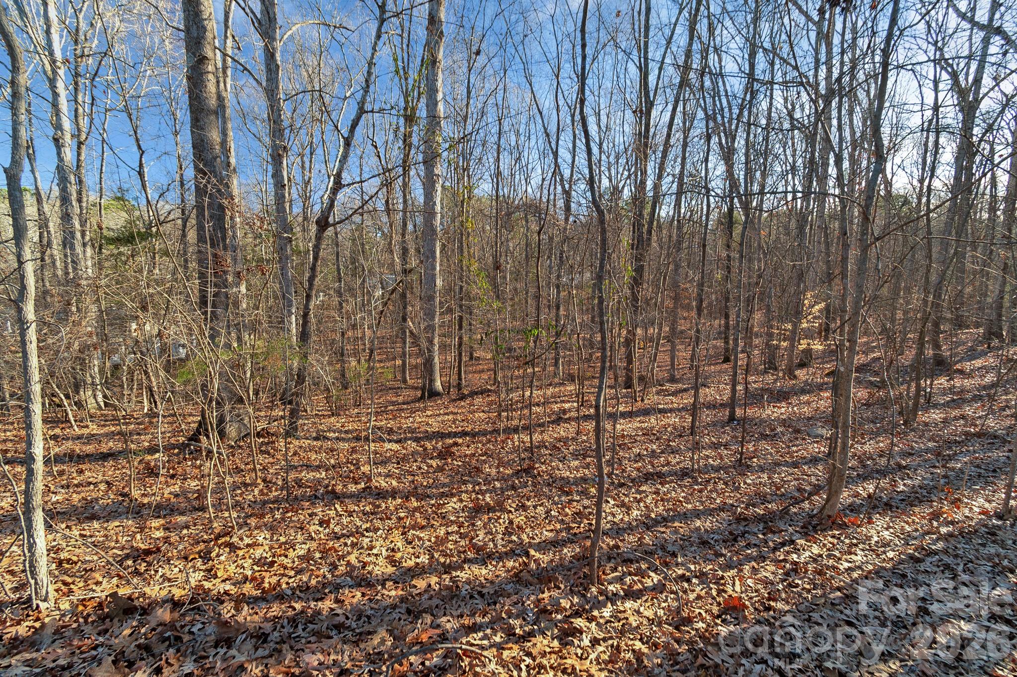 00 Glenola Drive Waxhaw NC 28173