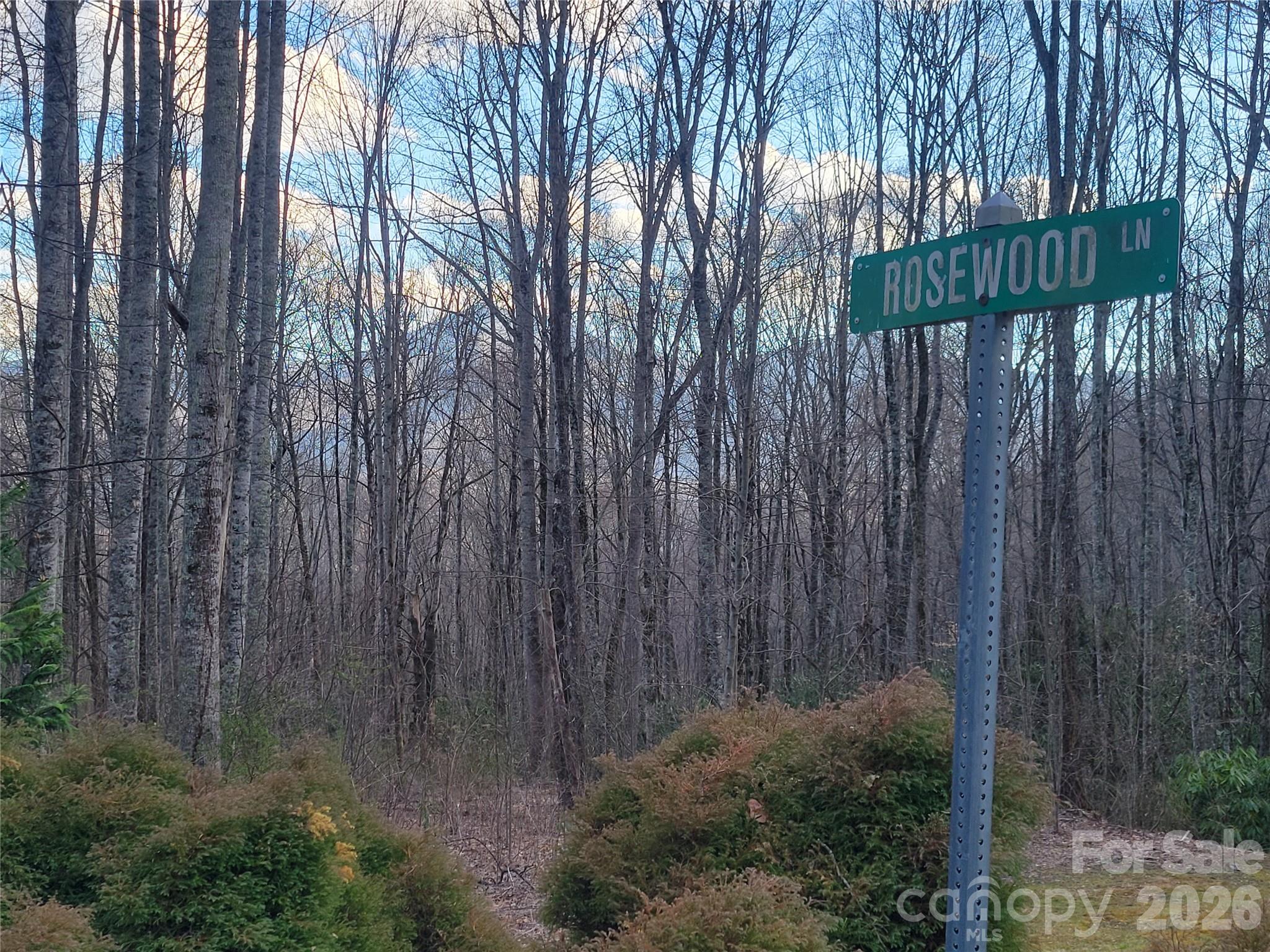 00 Covecrest Lane Maggie Valley NC 28751