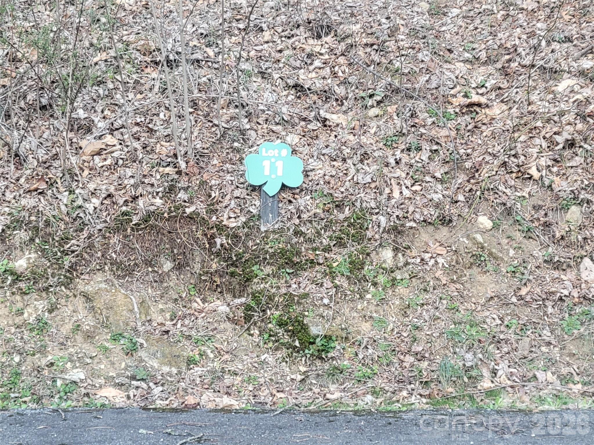 00 Covecrest Lane Maggie Valley NC 28751