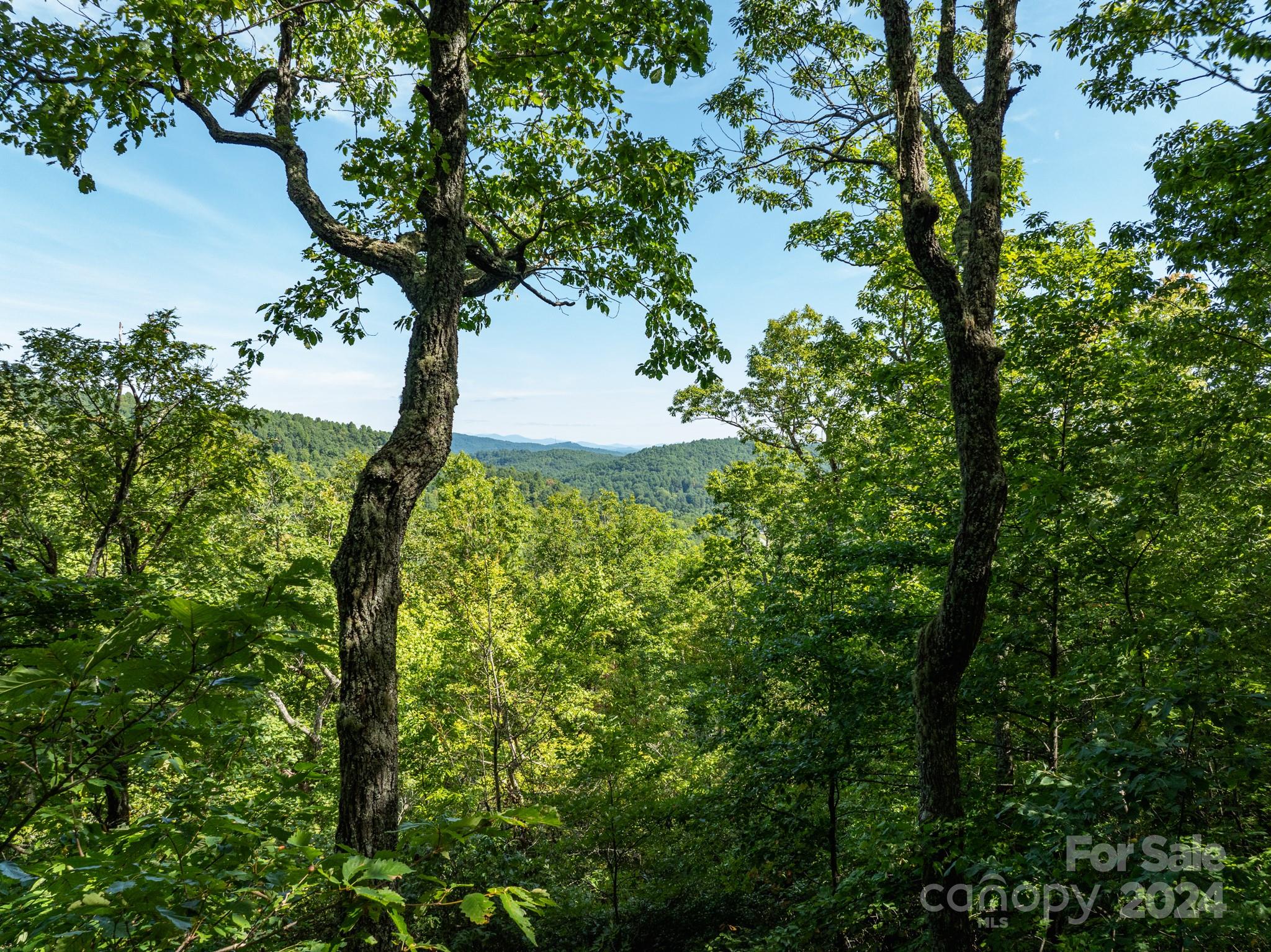 Lot 25 Panther Mountain Road Zirconia NC 28790