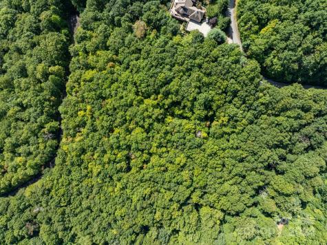 Lot 25 Panther Mountain Road Zirconia NC 28790