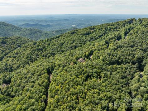 Lot 25 Panther Mountain Road Zirconia NC 28790