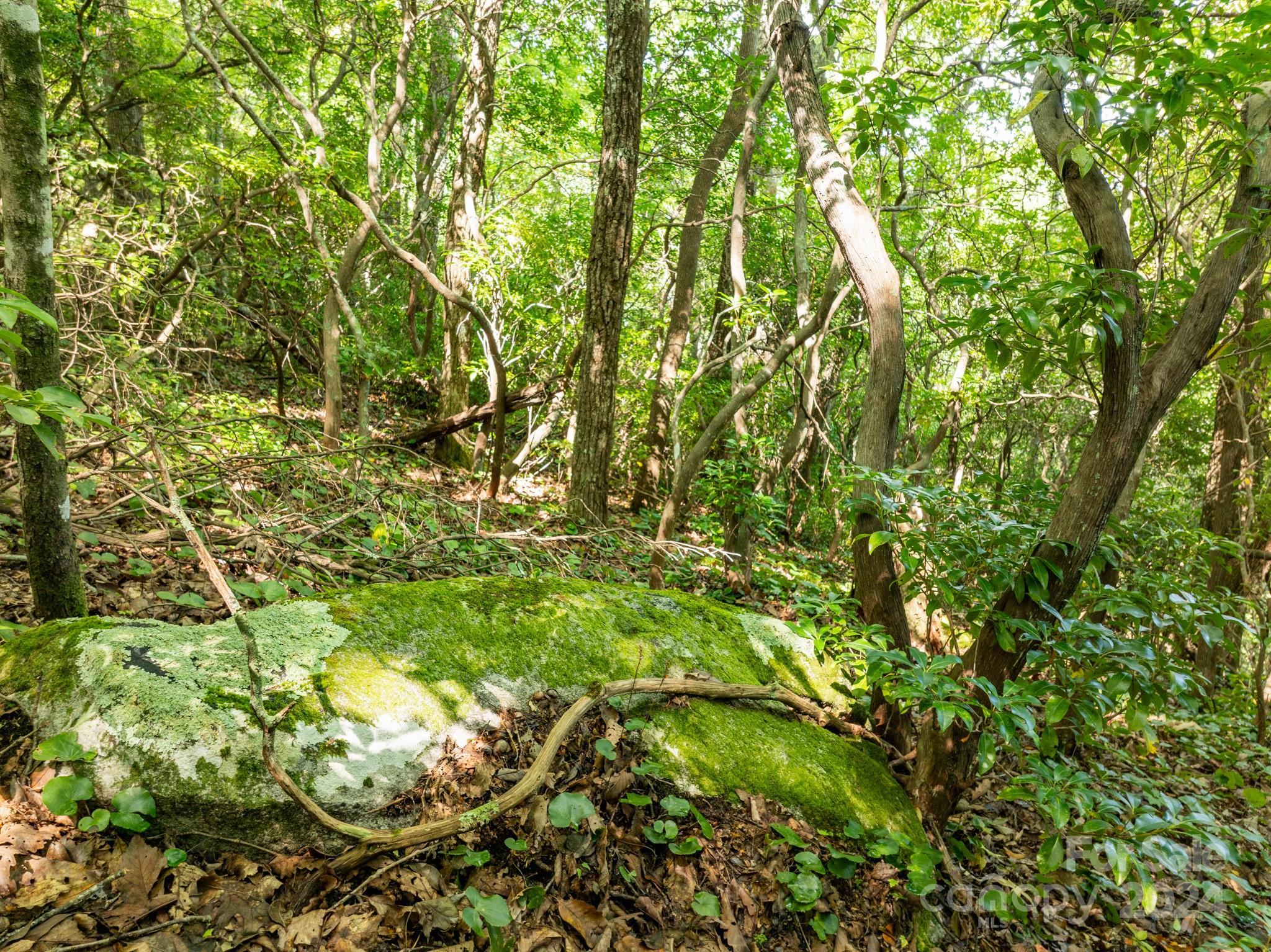 Lot 25 Panther Mountain Road Zirconia NC 28790