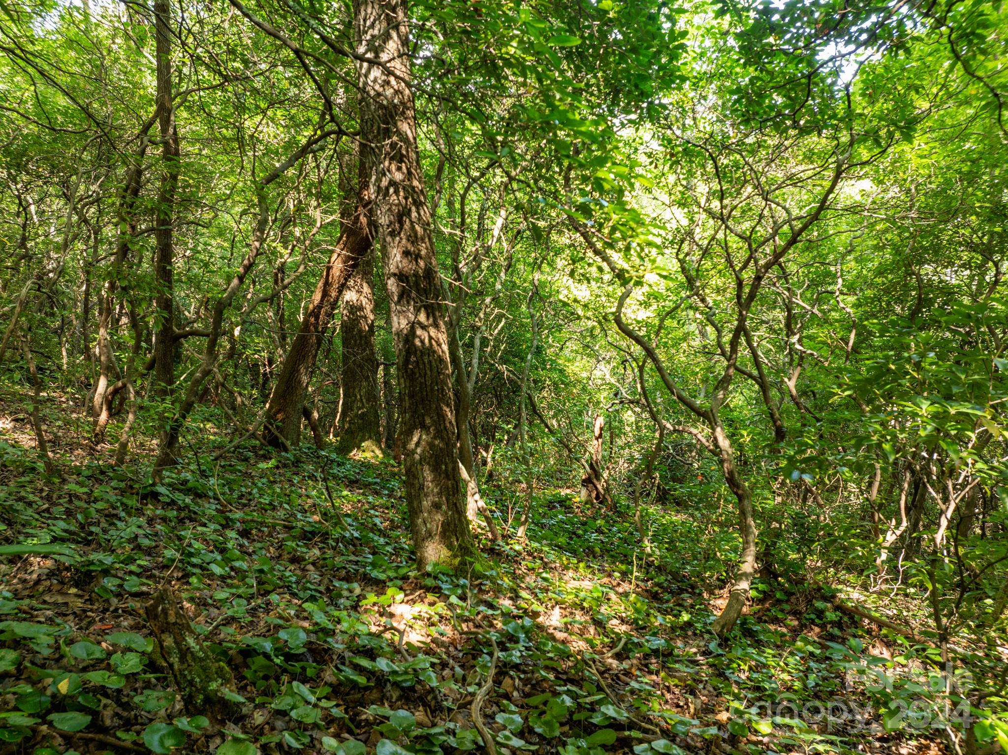 Lot 25 Panther Mountain Road Zirconia NC 28790