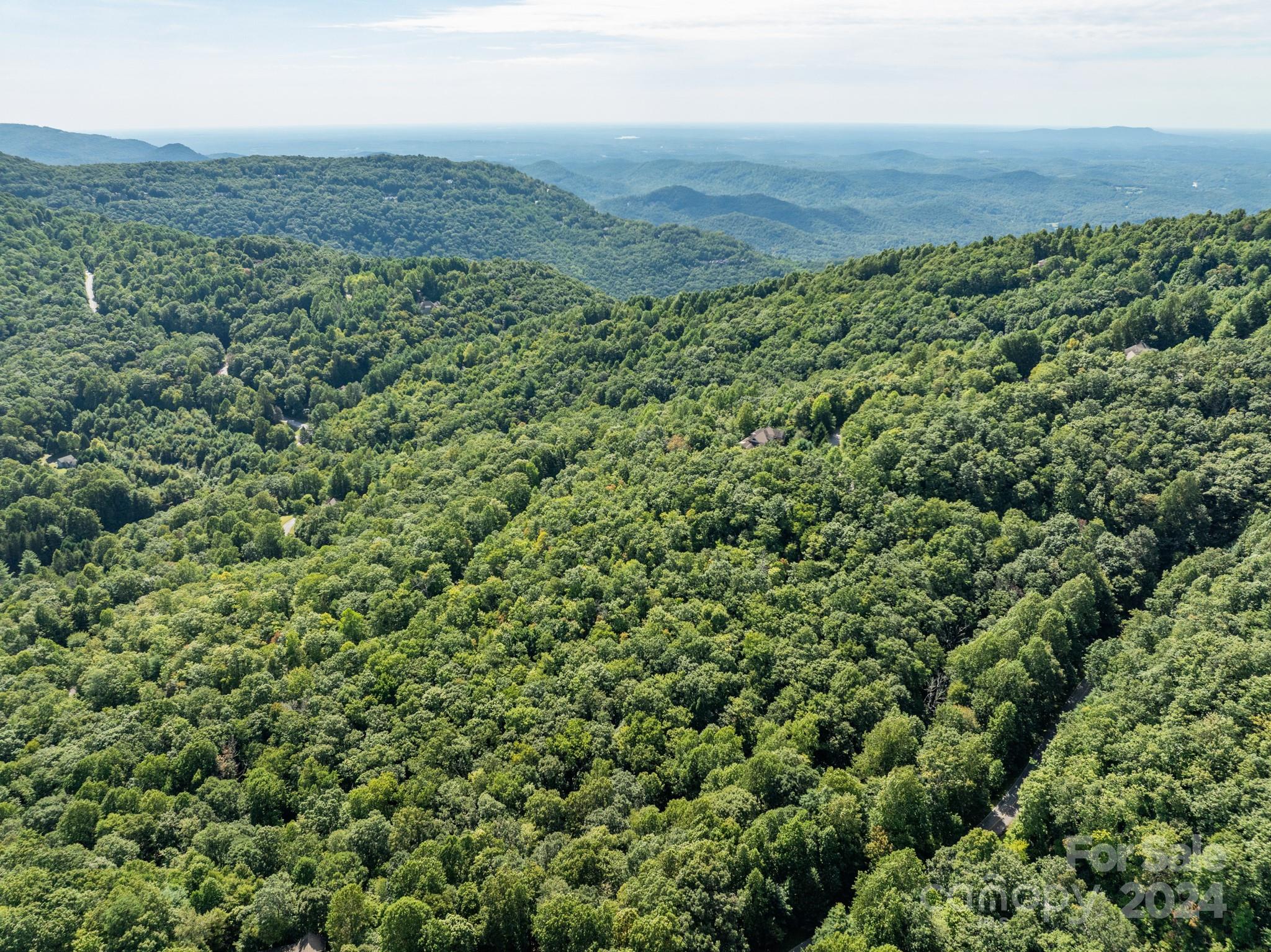 Lot 25 Panther Mountain Road Zirconia NC 28790