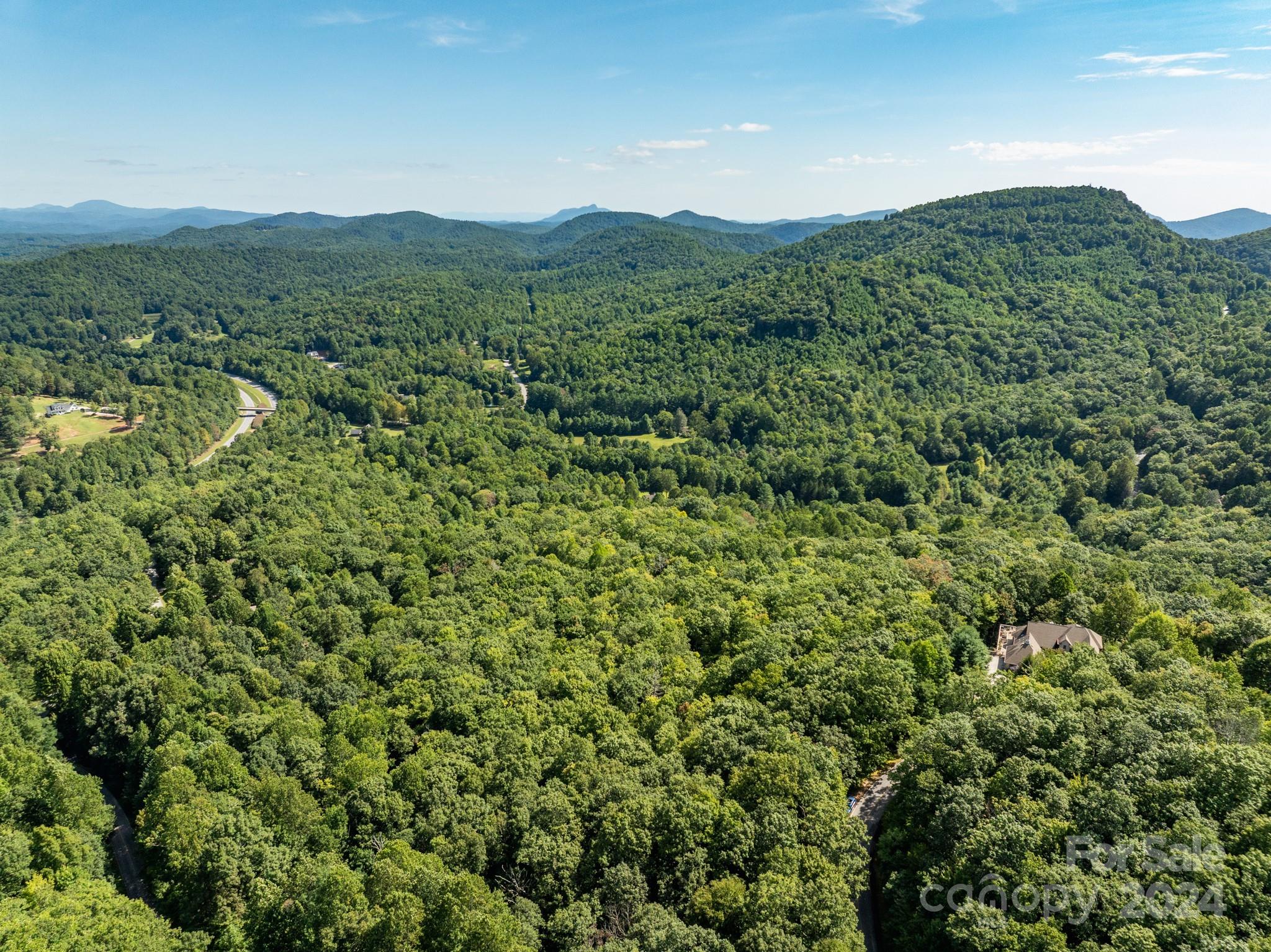Lot 25 Panther Mountain Road Zirconia NC 28790