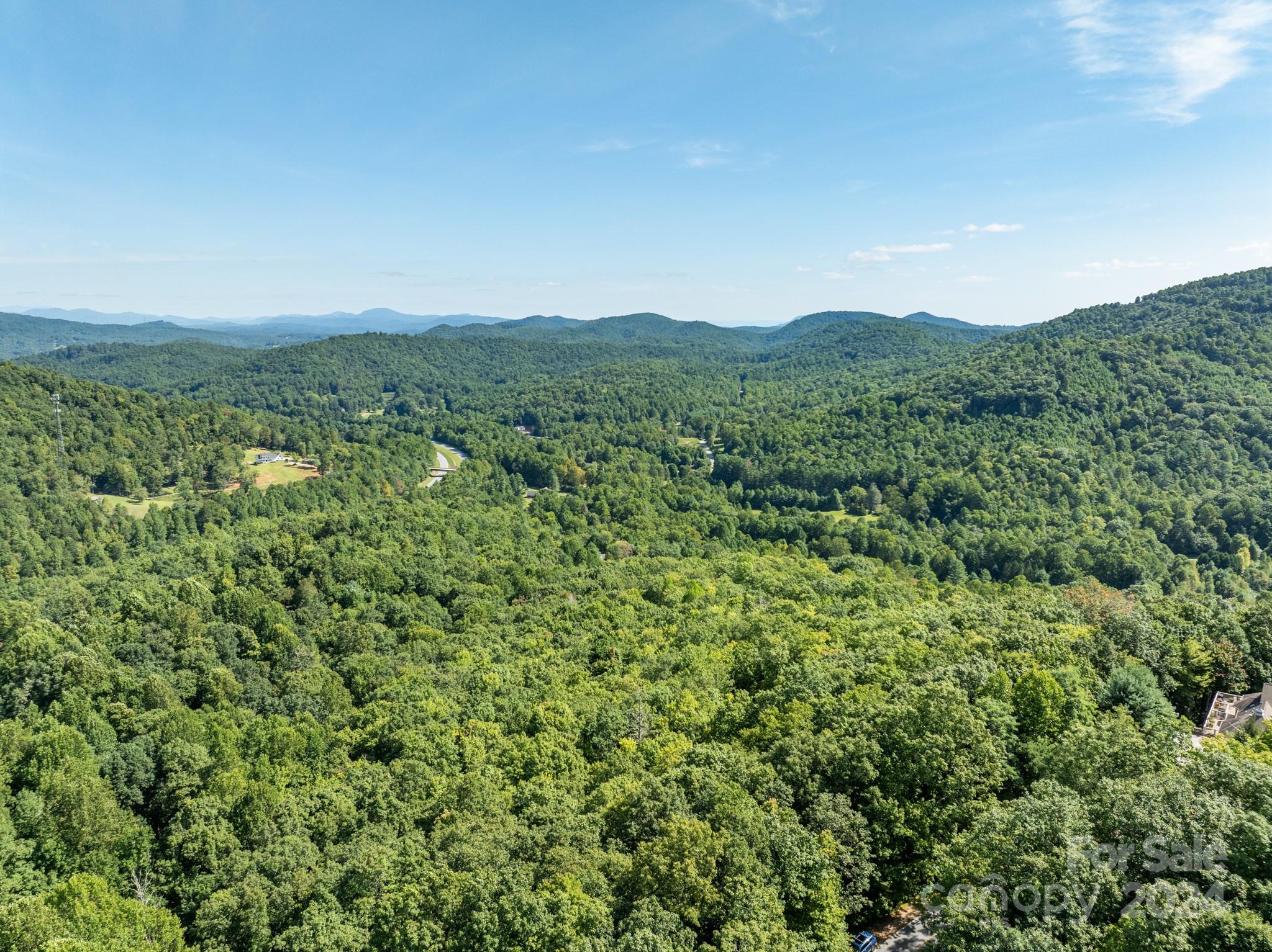 Lot 25 Panther Mountain Road Zirconia NC 28790