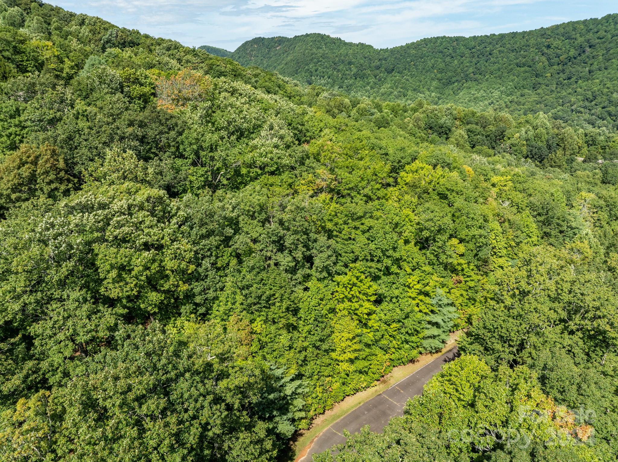 Lot 25 Panther Mountain Road Zirconia NC 28790