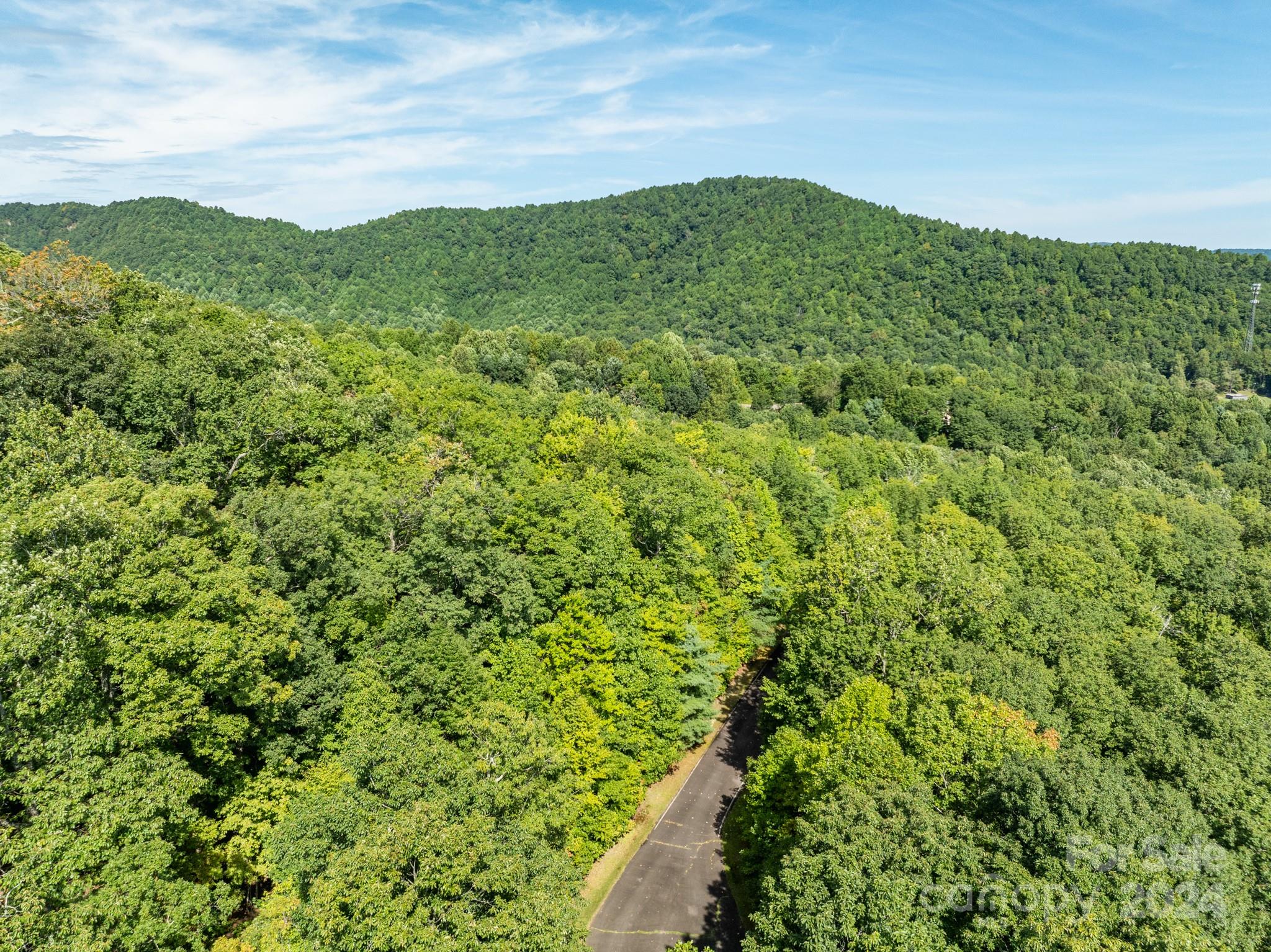 Lot 25 Panther Mountain Road Zirconia NC 28790