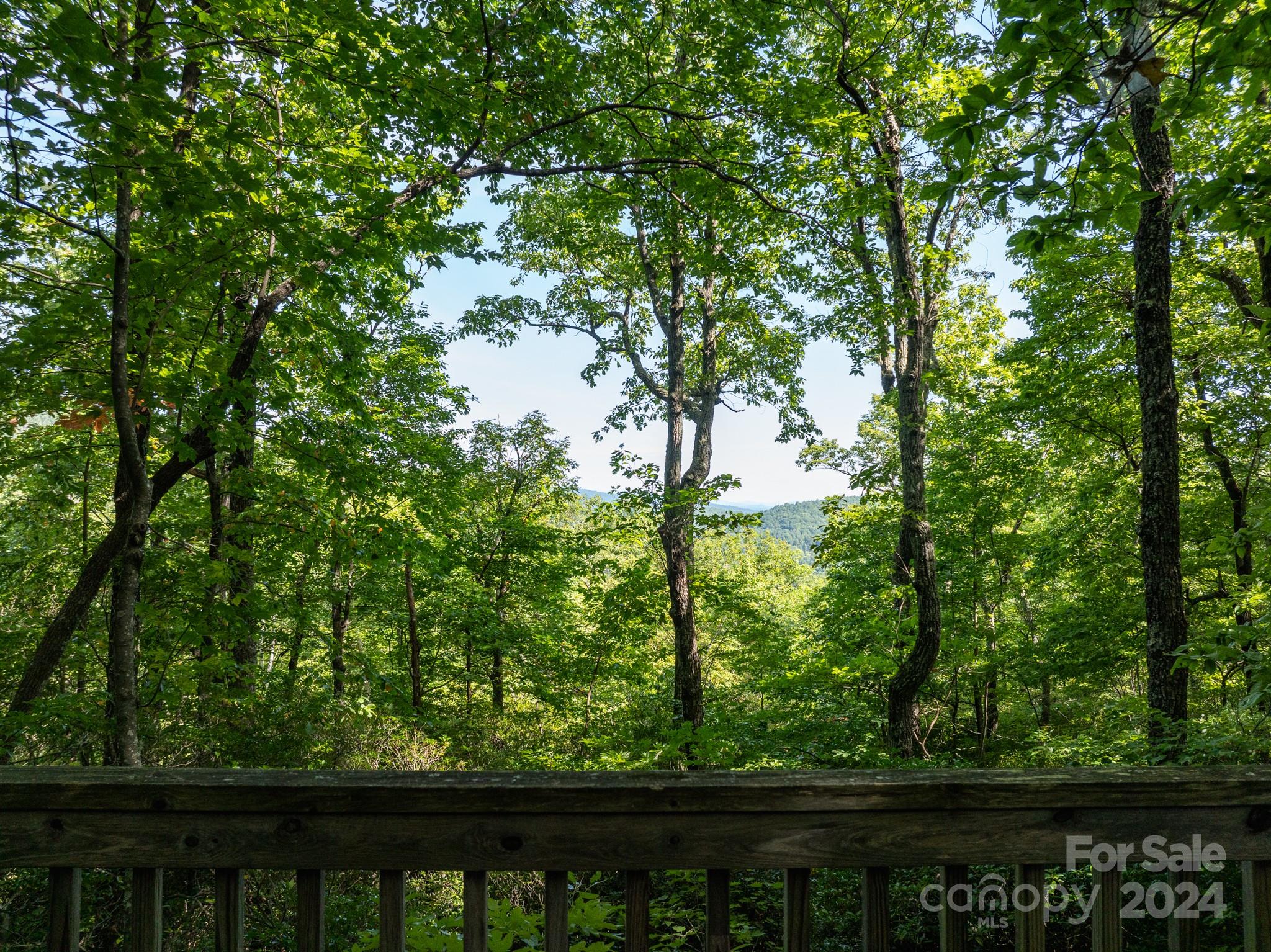 Lot 25 Panther Mountain Road Zirconia NC 28790