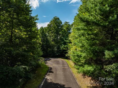 Lot 25 Panther Mountain Road Zirconia NC 28790