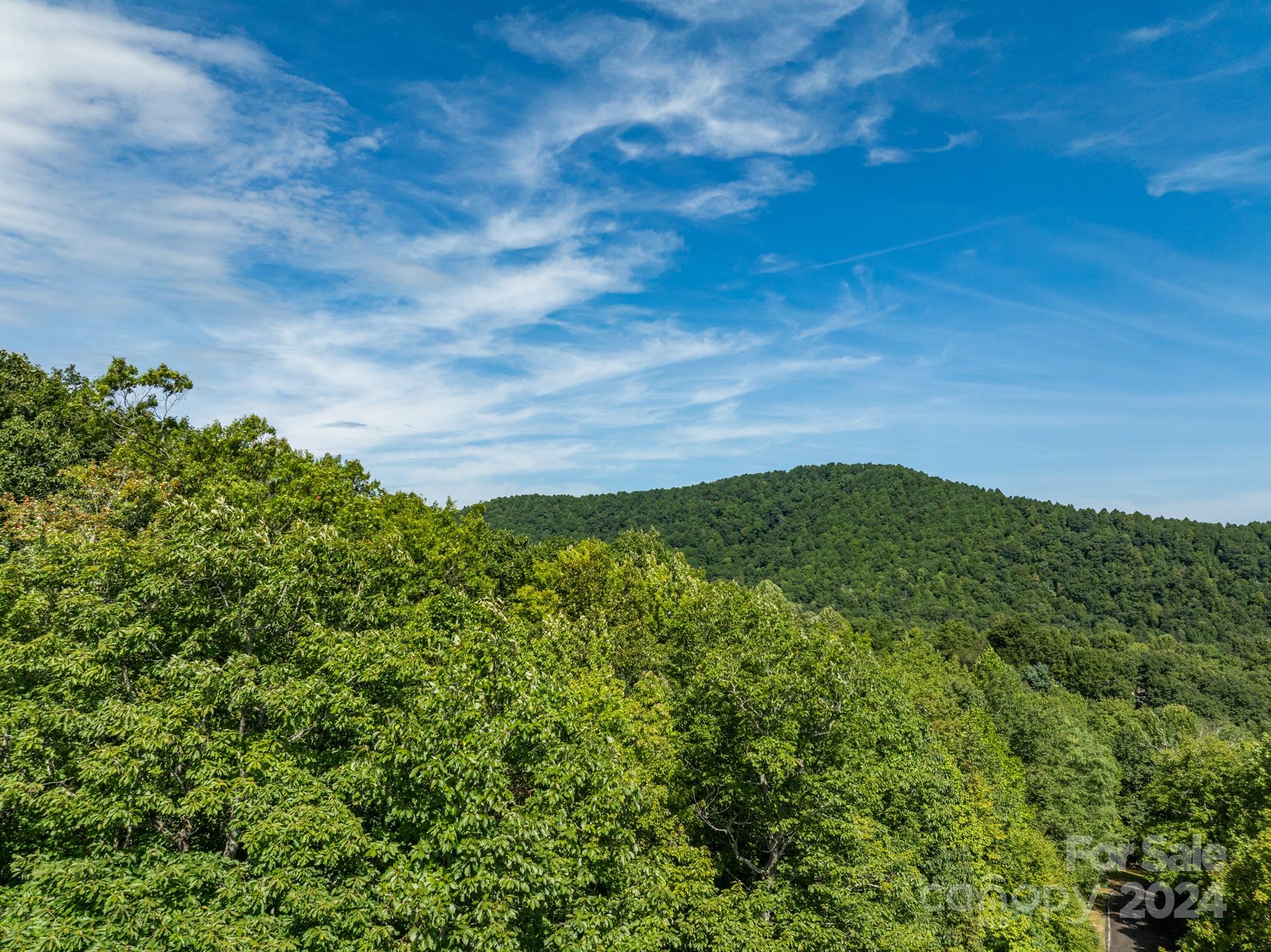 Lot 25 Panther Mountain Road Zirconia NC 28790