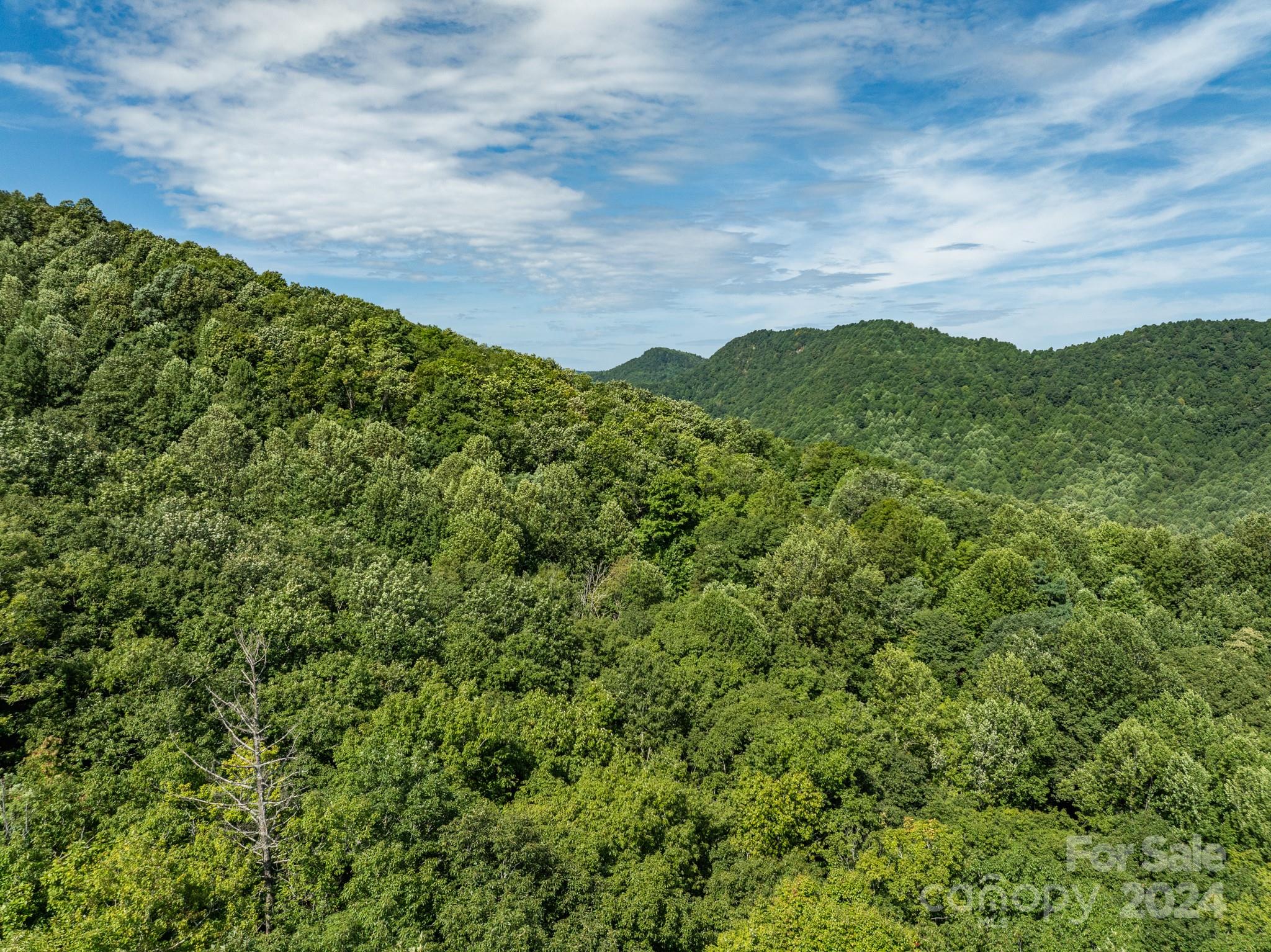 Lot 25 Panther Mountain Road Zirconia NC 28790