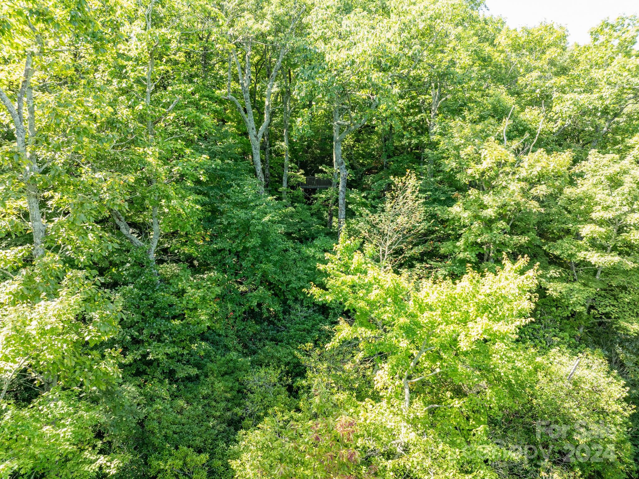 Lot 25 Panther Mountain Road Zirconia NC 28790